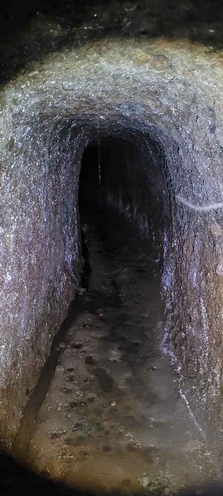 21 June 2022 Beautiful loop via the Levada do Brasileiro and dos Moinhos — Fonte da Pedra — photo 1