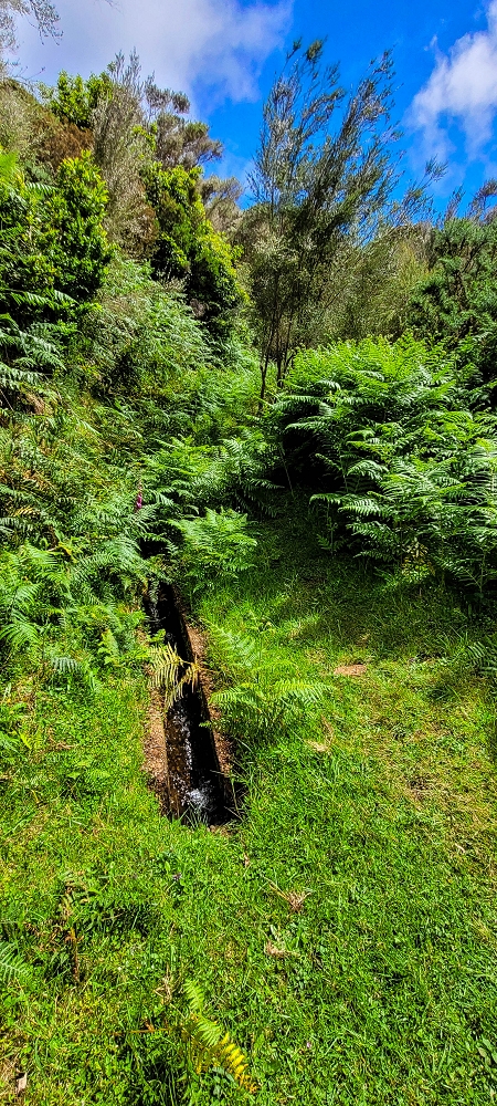 21 June 2022 Beautiful loop via the Levada do Brasileiro and dos Moinhos — Lower course of the Levada do Brasileiro — photo 14