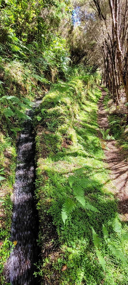 21 June 2022 Beautiful loop via the Levada do Brasileiro and dos Moinhos — Lower course of the Levada do Brasileiro — photo 23
