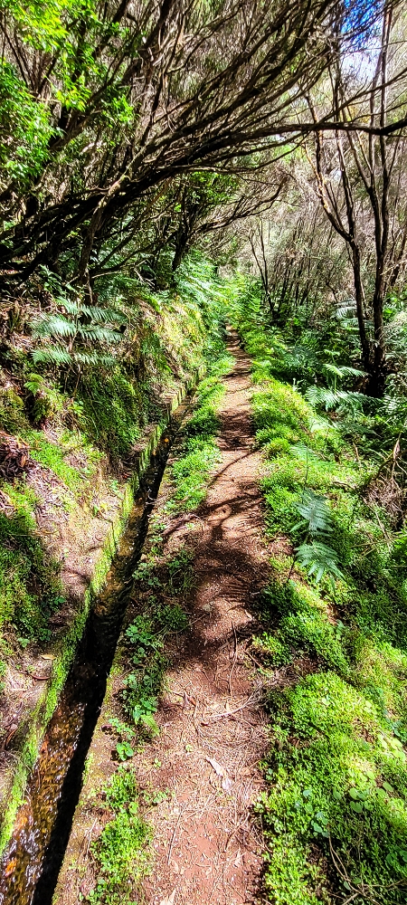 21 June 2022 Beautiful loop via the Levada do Brasileiro and dos Moinhos — Lower course of the Levada do Brasileiro — photo 24