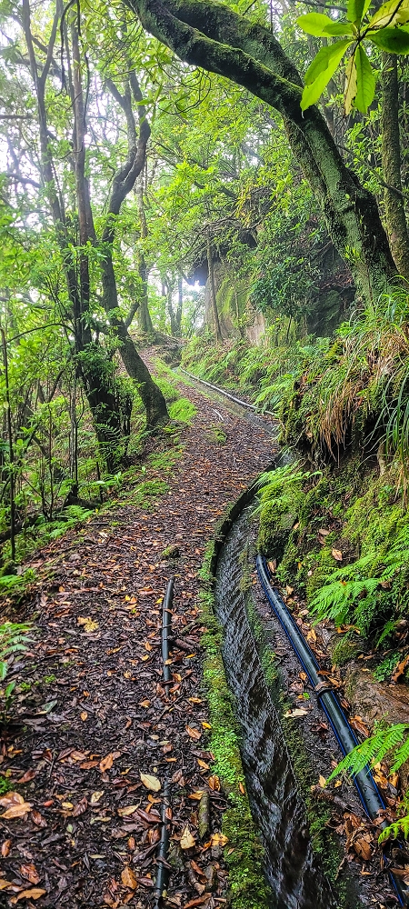 21 June 2022 Beautiful loop via the Levada do Brasileiro and dos Moinhos — Over the Levada do Brasileiro — photo 4
