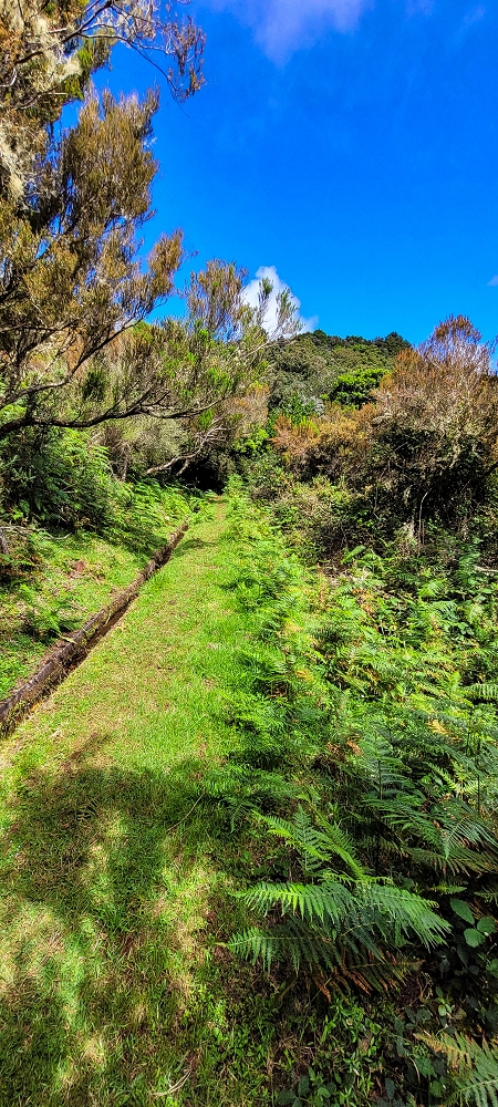 21 June 2022 Beautiful loop via the Levada do Brasileiro and dos Moinhos — Lower course of the Levada do Brasileiro — photo 28