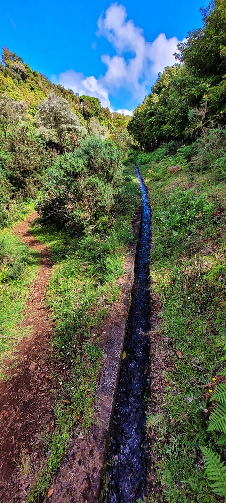 Levada do Brasileiro — Zwischen Lagoa do Bardo und der ER105 — Foto 5