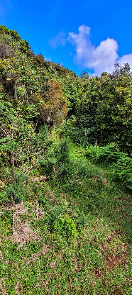 21 June 2022 Beautiful loop via the Levada do Brasileiro and dos Moinhos — Lower course of the Levada do Brasileiro — photo 31