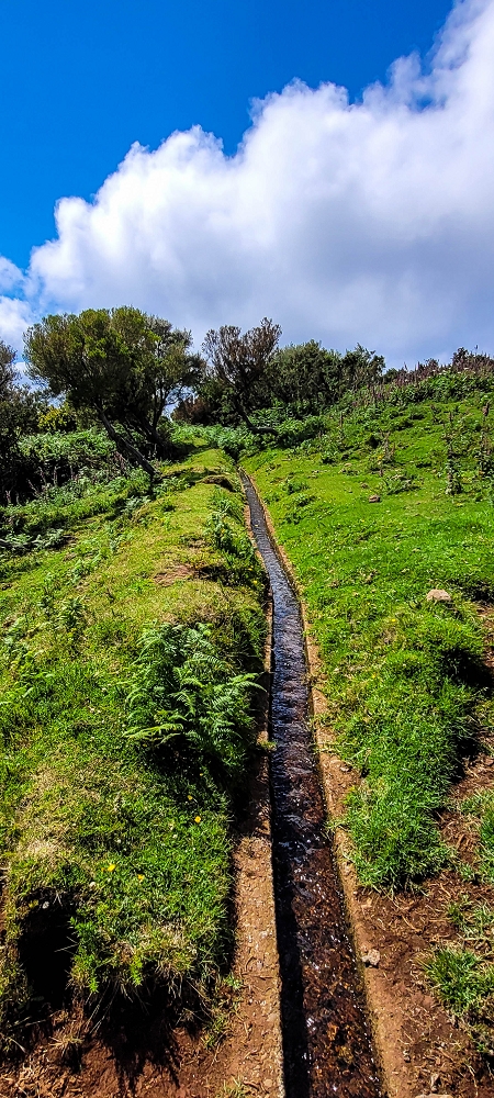Levada do Brasileiro — Zwischen Lagoa do Bardo und der ER105 — Foto 4