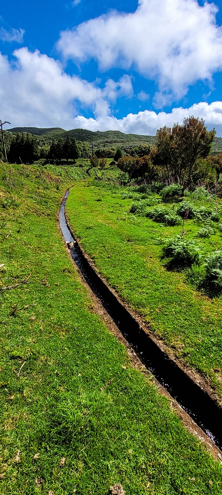Levada do Brasileiro — Zwischen Lagoa do Bardo und der ER105 — Foto 2