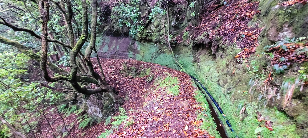 21 June 2022 Beautiful loop via the Levada do Brasileiro and dos Moinhos — Over the Levada do Brasileiro — photo 5