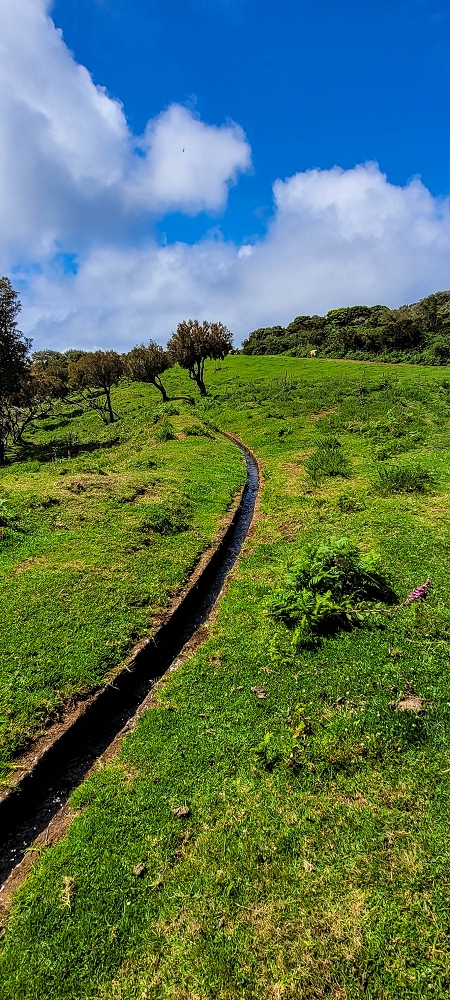 Levada do Brasileiro — Zwischen Lagoa do Bardo und der ER105 — Foto 1
