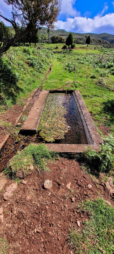 Levada do Brasileiro — Froschteich und Ablauf der Lagoa do Bardo — Foto 2