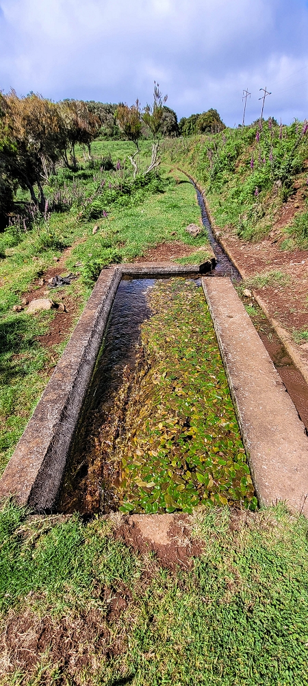 Levada do Brasileiro — Froschteich und Ablauf der Lagoa do Bardo — Foto 1