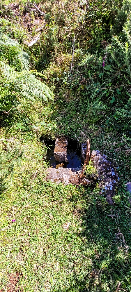21 June 2022 Beautiful loop via the Levada do Brasileiro and dos Moinhos — Frog pond and outflow of the Lagoa do Bardo — photo 3