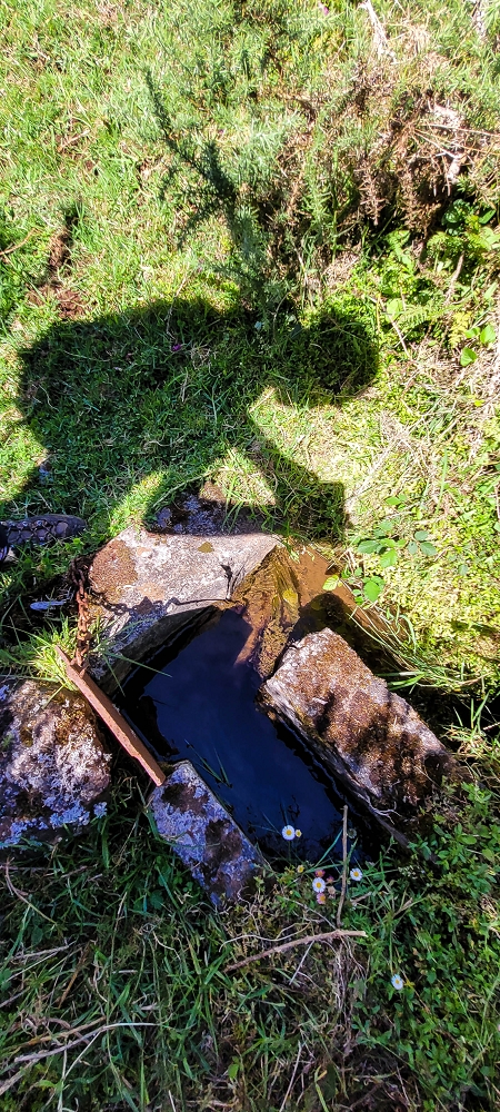 21 June 2022 Beautiful loop via the Levada do Brasileiro and dos Moinhos — Frog pond and outflow of the Lagoa do Bardo — photo 4