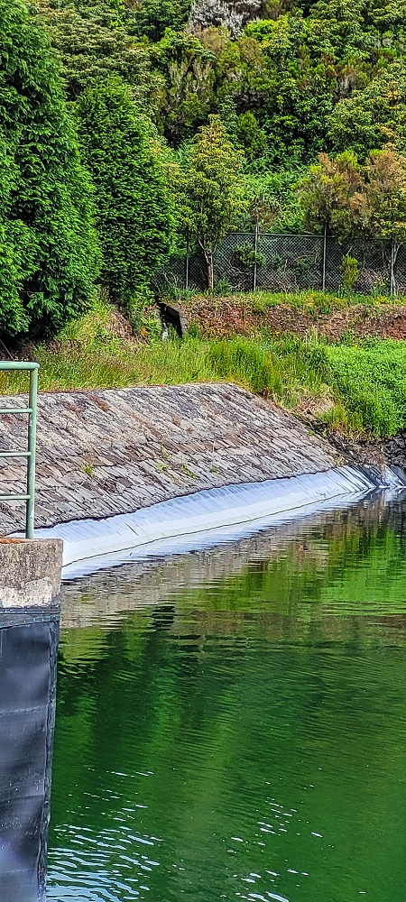 21 June 2022 Beautiful loop via the Levada do Brasileiro and dos Moinhos — Lagoa do Bardo and inflow — photo 2