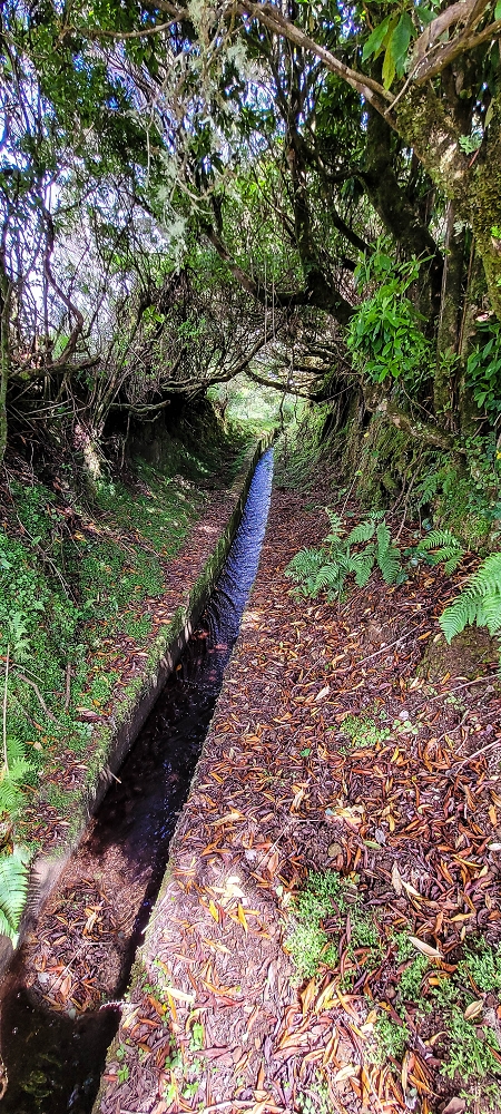 Levada do Brasileiro — Kreuzung mit der ER105 und Zufluss zur Lagoa do Bardo — Foto 4