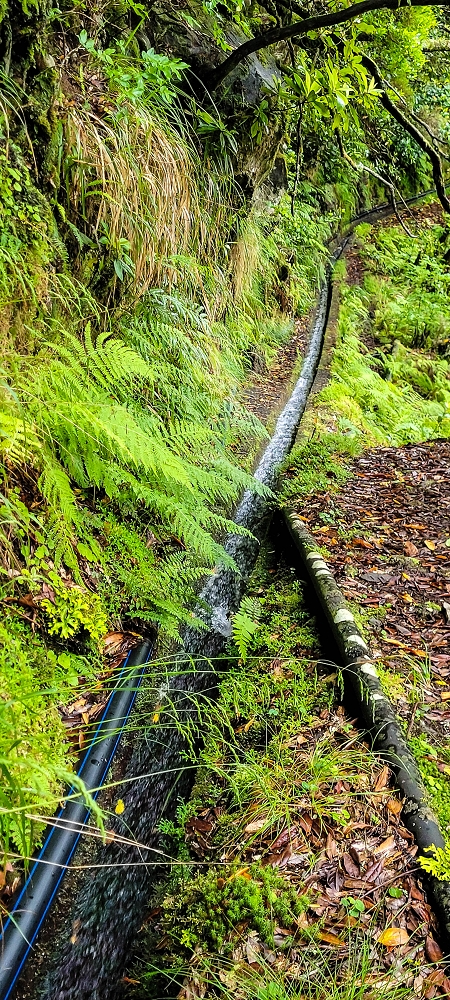 21 June 2022 Beautiful loop via the Levada do Brasileiro and dos Moinhos — Over the Levada do Brasileiro — photo 6