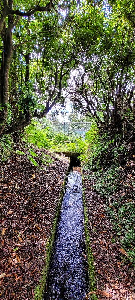 Levada do Brasileiro — Kreuzung mit der ER105 und Zufluss zur Lagoa do Bardo — Foto 5