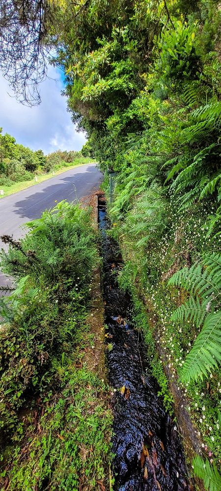 21 June 2022 Beautiful loop via the Levada do Brasileiro and dos Moinhos — Lagoa do Bardo and inflow — photo 7