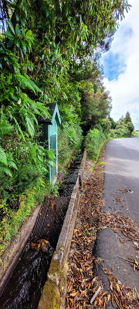 21 June 2022 Beautiful loop via the Levada do Brasileiro and dos Moinhos — Lagoa do Bardo and inflow — photo 10