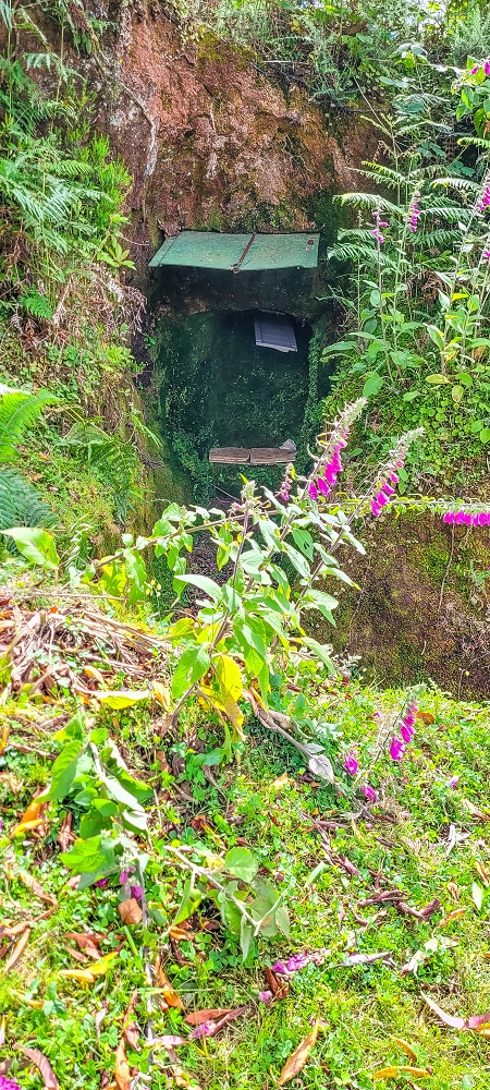 21 June 2022 Beautiful loop via the Levada do Brasileiro and dos Moinhos — Lagoa do Bardo and inflow — photo 11