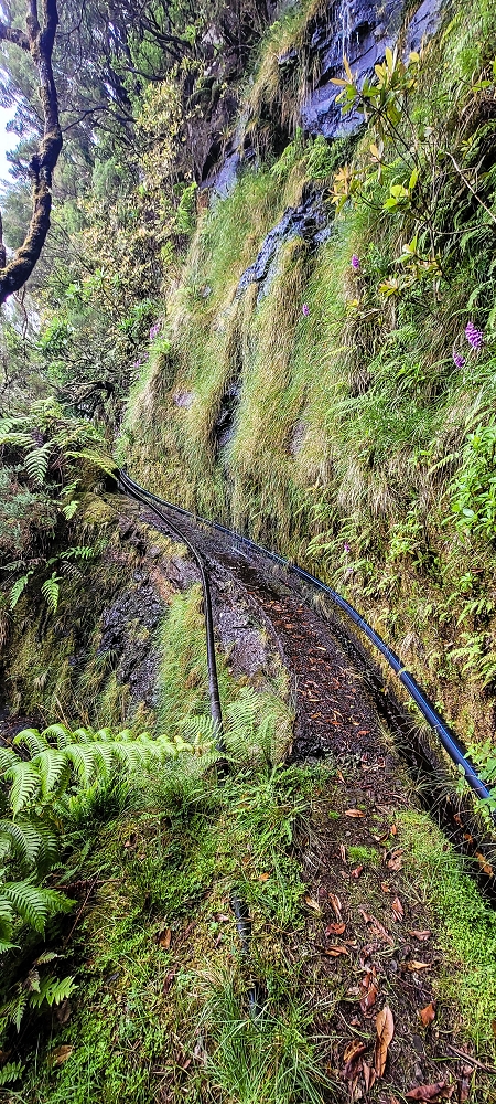 Levada do Brasileiro — Niveau 3 — Foto 6