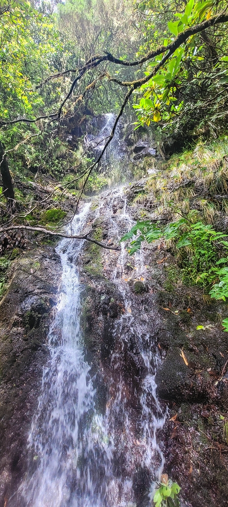 21 June 2022 Beautiful loop via the Levada do Brasileiro and dos Moinhos — Over the Levada do Brasileiro — photo 10