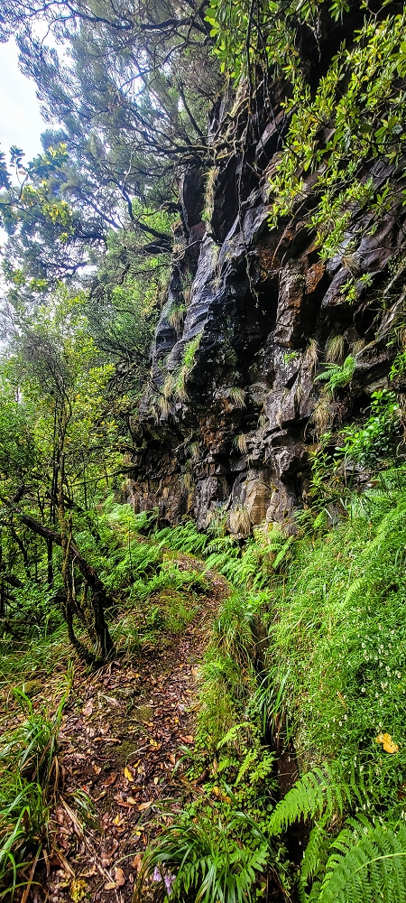 21 June 2022 Beautiful loop via the Levada do Brasileiro and dos Moinhos — Over the Levada do Brasileiro — photo 19