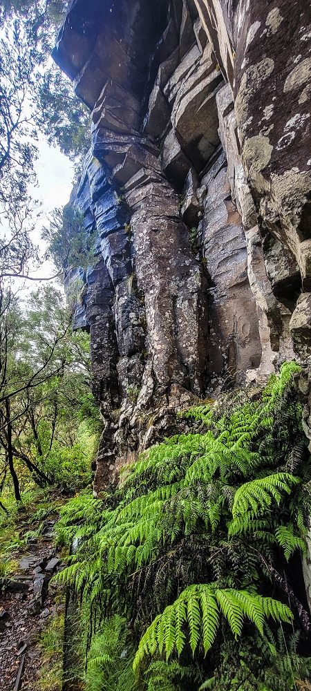 21 June 2022 Beautiful loop via the Levada do Brasileiro and dos Moinhos — Over the Levada do Brasileiro — photo 20
