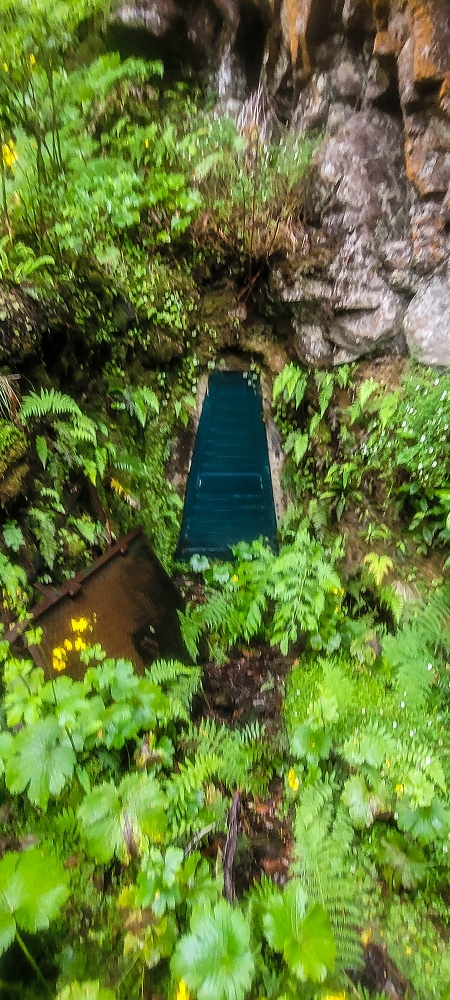 21 June 2022 Beautiful loop via the Levada do Brasileiro and dos Moinhos — Over the Levada do Brasileiro — photo 22