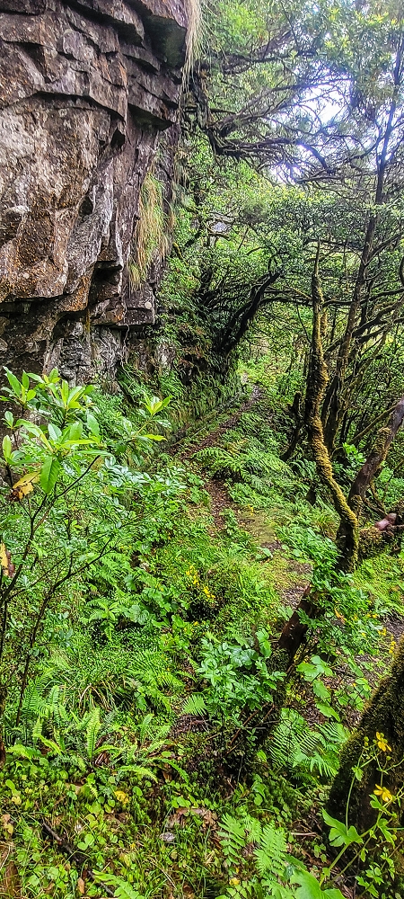21 June 2022 Beautiful loop via the Levada do Brasileiro and dos Moinhos — Traverse to the Levada dos Moinhos — photo 1