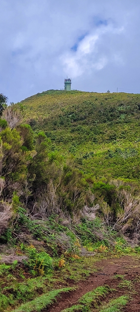 21 June 2022 Beautiful loop via the Levada do Brasileiro and dos Moinhos — Traverse to the Levada dos Moinhos — photo 3