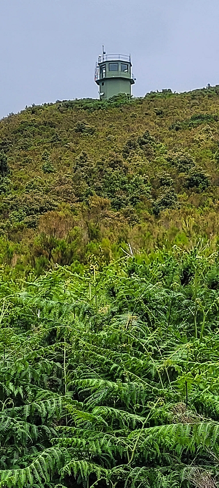 21 June 2022 Beautiful loop via the Levada do Brasileiro and dos Moinhos — Traverse to the Levada dos Moinhos — photo 4