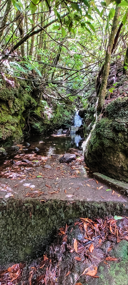 Levada do(s) Moinho(s) — Madre of the Levada dos Moinhos — photo 2