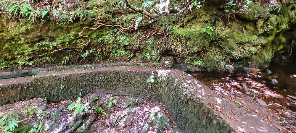 Levada do(s) Moinho(s) — Madre of the Levada dos Moinhos — photo 4