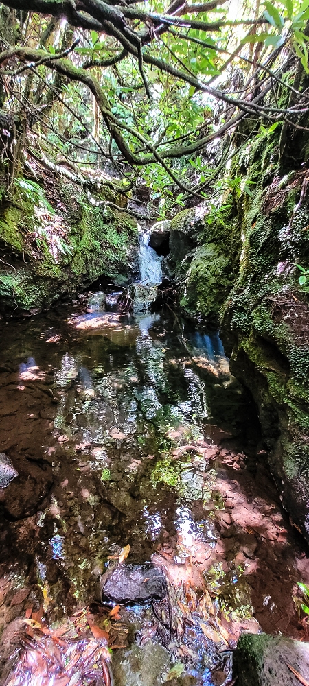 Levada do(s) Moinho(s) — Madre of the Levada dos Moinhos — photo 5