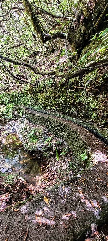Levada do(s) Moinho(s) — Madre of the Levada dos Moinhos — photo 6