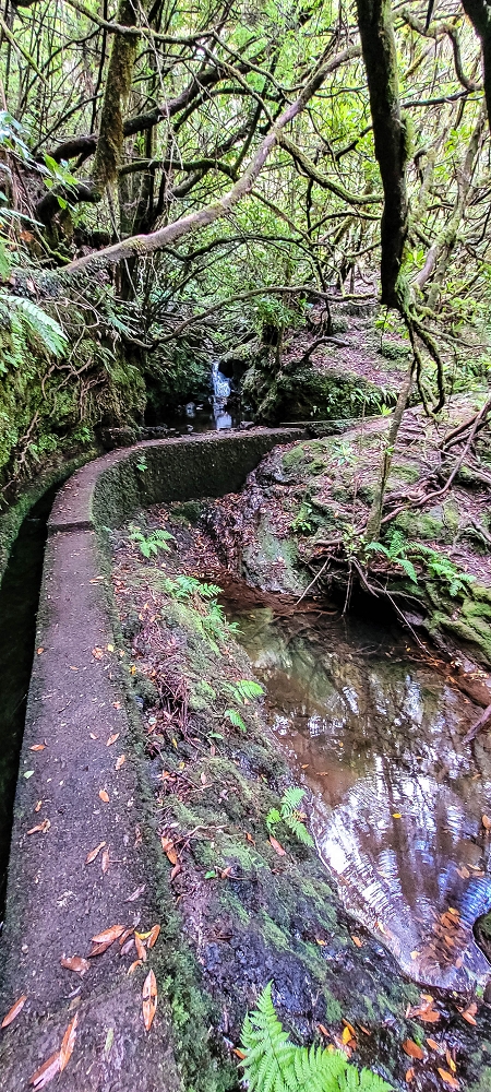 Levada do(s) Moinho(s) — Madre of the Levada dos Moinhos — photo 7