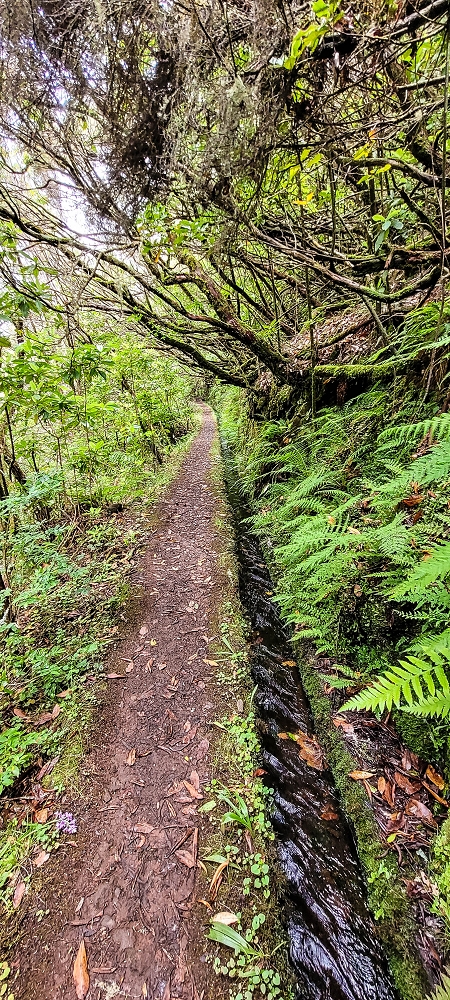 Levada do(s) Moinho(s) — On to the first waterfall — photo 1