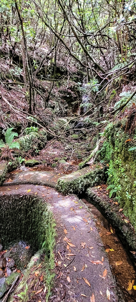 Levada do(s) Moinho(s) — On to the first waterfall — photo 3