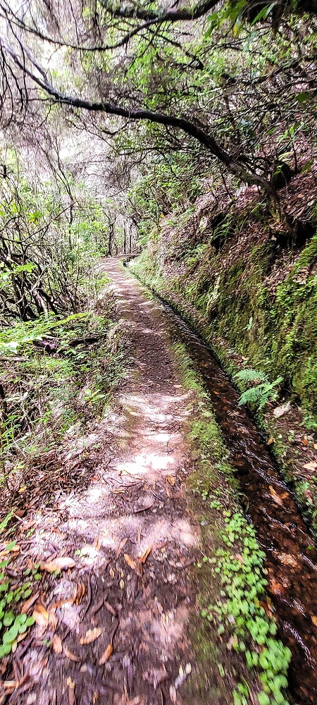 Levada do(s) Moinho(s) — On to the bypass and the intake on the side stream of the Ribeira da Cruz — photo 1