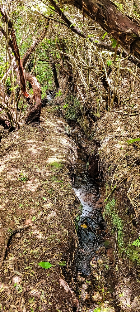 Levada do(s) Moinho(s) — On to the bypass and the intake on the side stream of the Ribeira da Cruz — photo 2