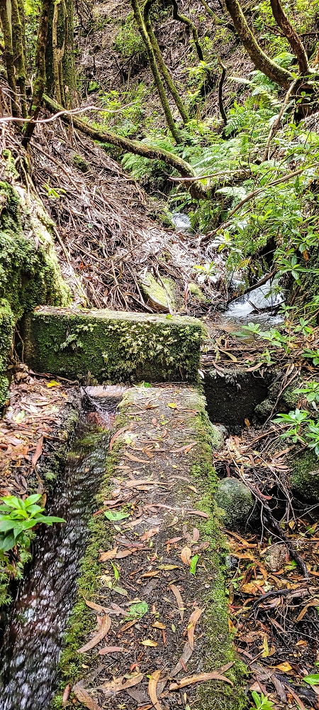 Levada do(s) Moinho(s) — On to the bypass and the intake on the side stream of the Ribeira da Cruz — photo 3