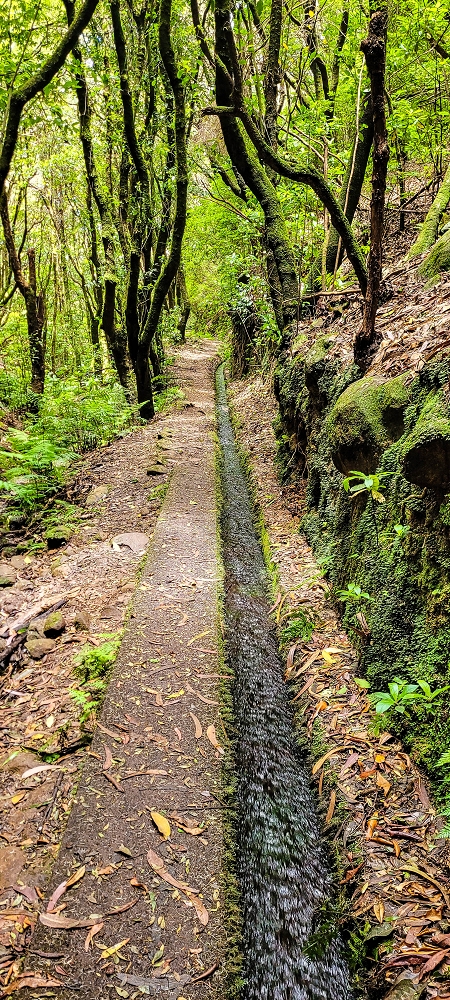 Levada do(s) Moinho(s) — On to the bypass and the intake on the side stream of the Ribeira da Cruz — photo 4