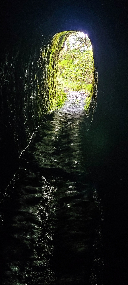 21 June 2022 Beautiful loop via the Levada do Brasileiro and dos Moinhos — Fonte da Pedra — photo 5