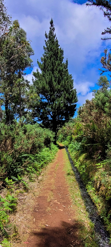 Levada do(s) Moinho(s) — To the water stair above the watermill — photo 5