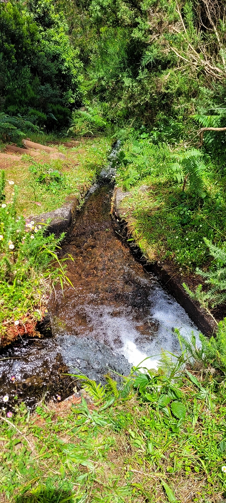 Levada do(s) Moinho(s) — To the water stair above the watermill — photo 6
