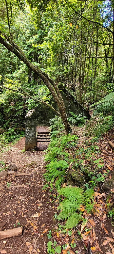 Levada do(s) Moinho(s) — The mill — photo 1