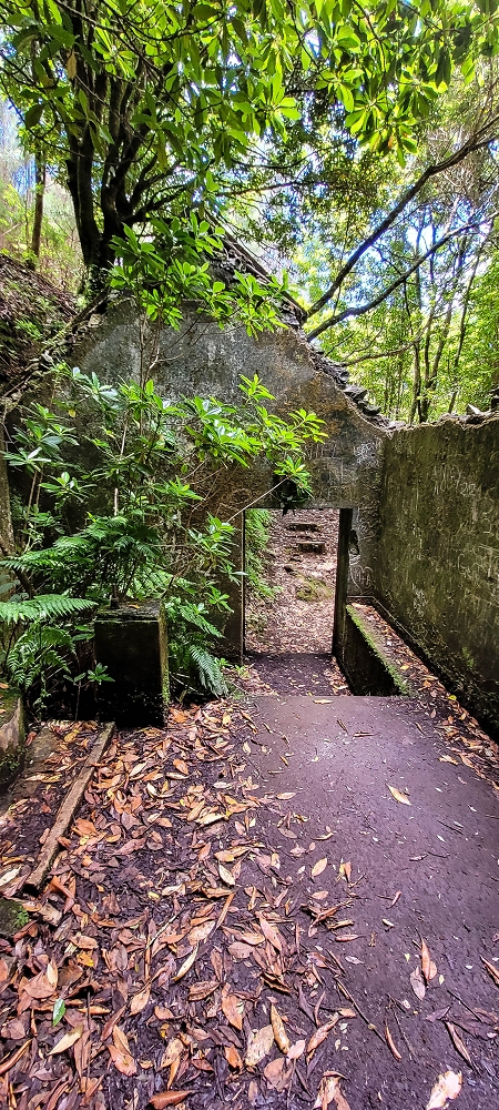 Levada do(s) Moinho(s) — The mill — photo 3