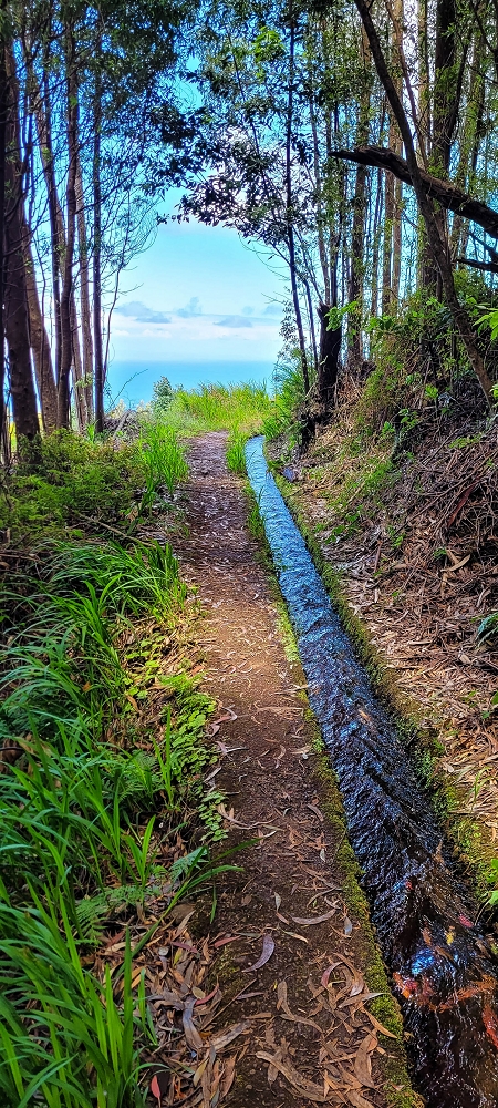 Levada do(s) Moinho(s) — On along the Levada dos Moinhos — photo 1