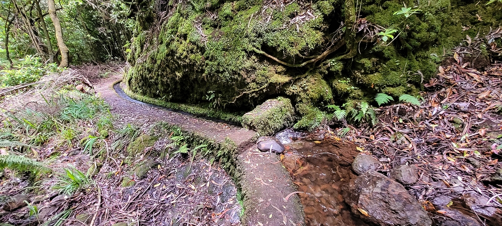 Levada do(s) Moinho(s) — On along the Levada dos Moinhos — photo 2