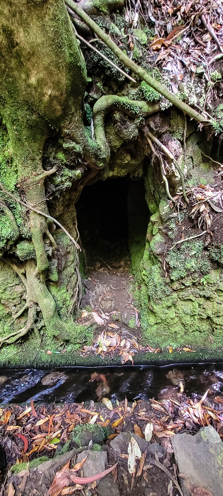 Levada do(s) Moinho(s) — On along the Levada dos Moinhos — photo 4